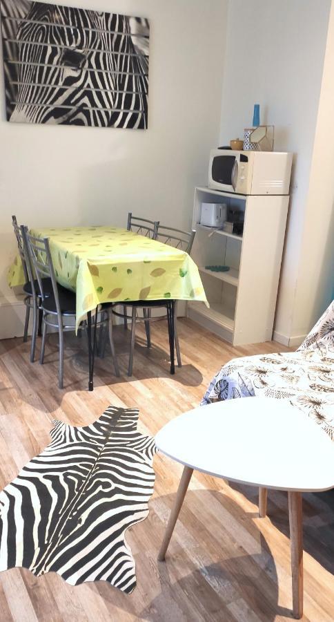 Appartement Grand Studio Centre Rdc Proche Gare Pont Valentré Cahors